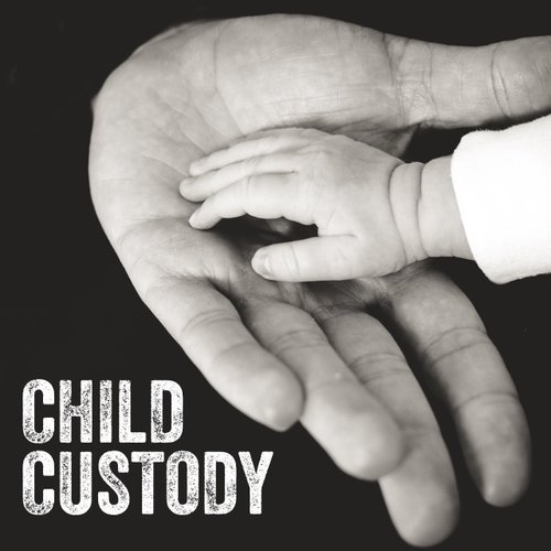 Child Custody | TMS Investigations | Florida Private Detective