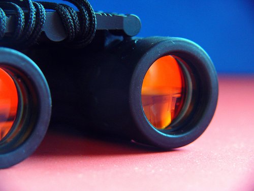 Private Investigator Binoculars | TMS Investigations | Florida Private Investigators