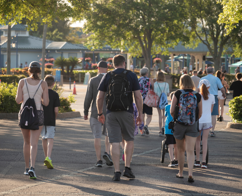 Expert theme park Private Investigation services offered by TMS Investigations in Florida